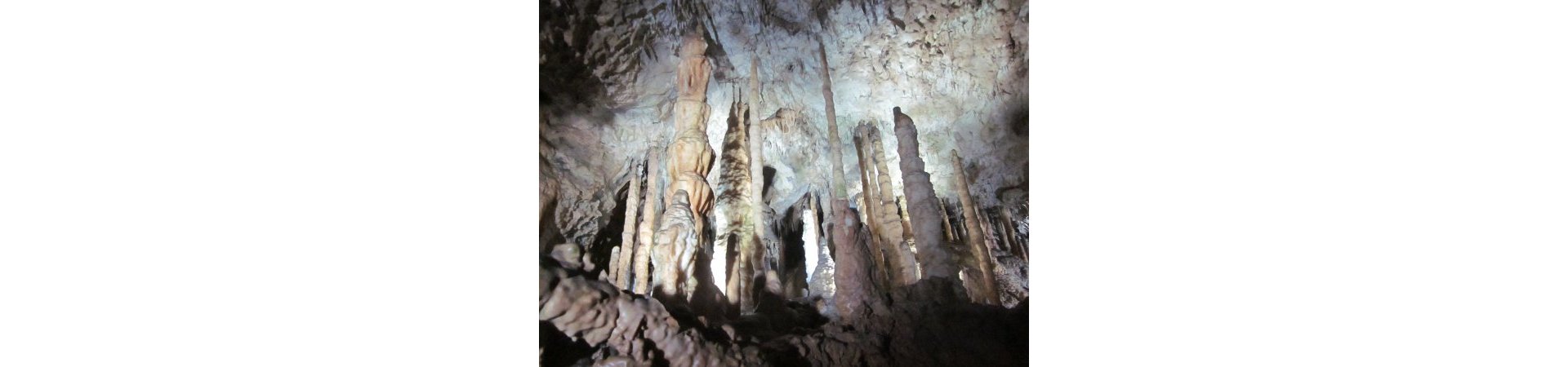 En 2016&nbsp;: une virée nature&nbsp;!